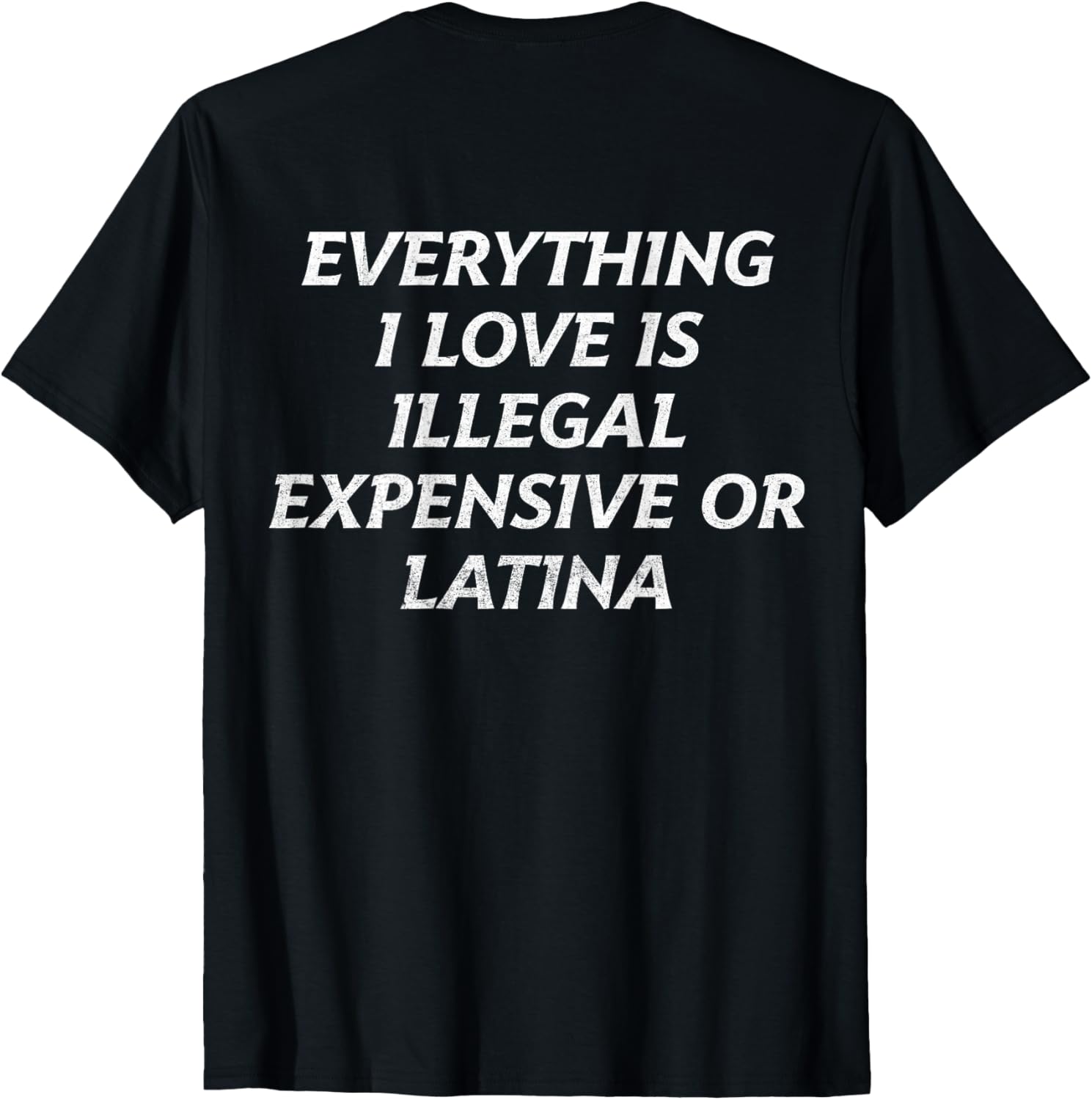 Everything I Love Is Illegal Expensive Or Latina (on back)